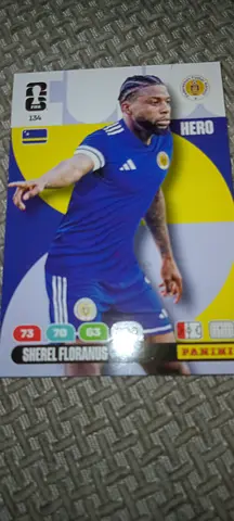 Panini Football Trading Card - Player Sticker (Single) - Good Condition