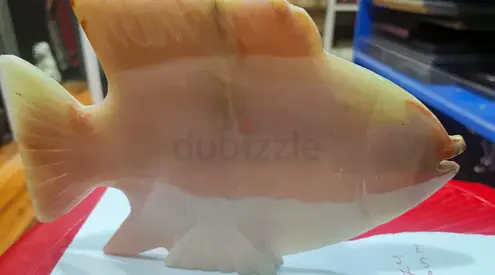 Hand-carved Onyx/Alabaster Fish Sculpture - Decorative Collectible-10cm height,21cm length