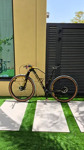Full Carbon Sunpeed eagle mtb