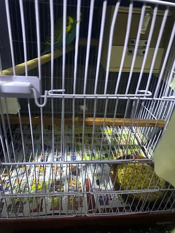 Big cage