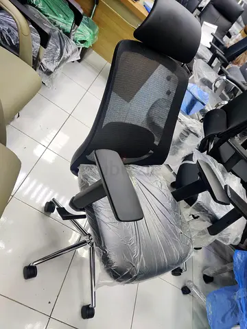 Ergonomic Mesh Office Chair with Headrest and Adjustable Armrests