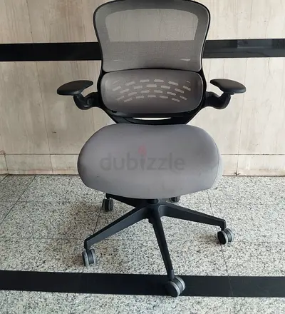 Gray Ergonomic Mesh Office Chair with Adjustable Armrests