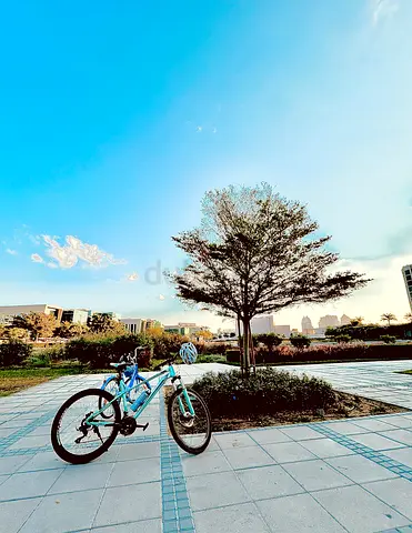 Teal Mountain Bike for Sale