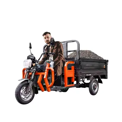 Cargo Tuk Tuk 1.6 Mtr Electric 3 Wheels Off Road Scooter Trolley - Assorted