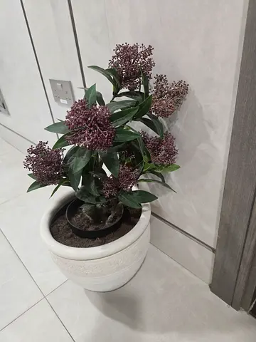 Large artificial fiddle leaf fig tree in pot - good condition