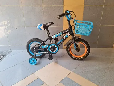 Kids 12-14 inch Training Bike with Basket and Stabilizers - Blue/Black