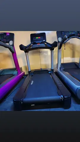 Life Fitness Professional Treadmill