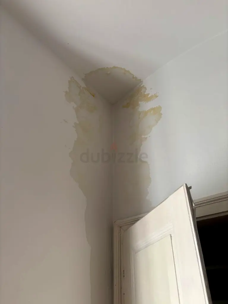 DPV_View_Image_3