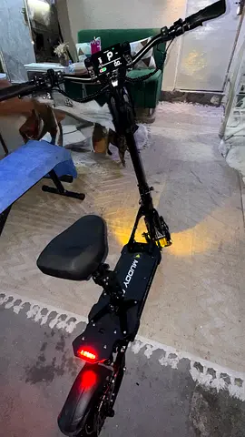 Electric Scooter G2MAX PRO