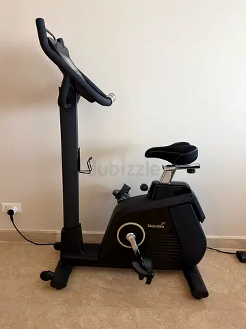 Skandika Cykling P14 Indoor Exercise Bike (LCD version) + Floor Mat
