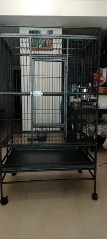 Large Metal Bird Cage