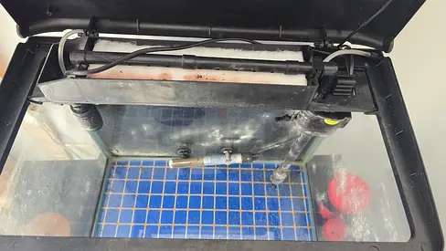 Fish Tank with Built-in Filter and Heater