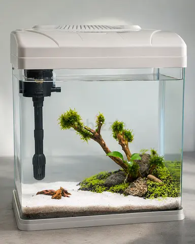 Small desktop aquarium tank with filter and planted decor