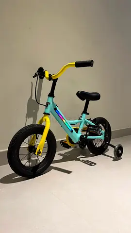 Childrens Bicycle with Training Wheels