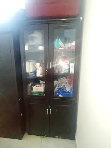 Dark Wood Storage Cabinet with Glass Doors