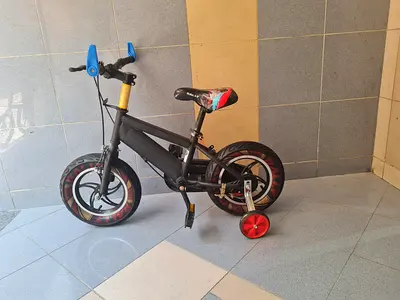 Kids Balance/Training Bike with Removable Training Wheels