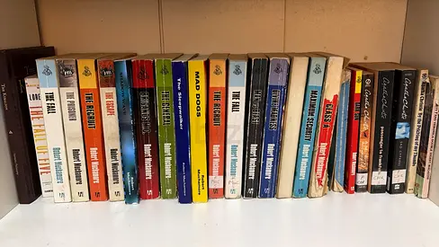 Collection of Classic and Modern Fiction Paperbacks (20+ books)