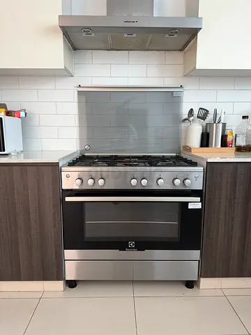 Electrolux Stainless Steel Gas Range with Oven - Good Condition