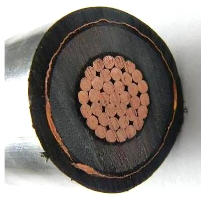 DPV_View_Image_6