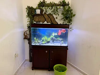 Aquarium with Cabinet and Filtration System - Ready to Move