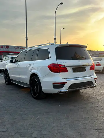2015 Mercedes-BENZ GL 照片 13