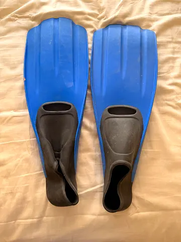 Swimming fins for sale