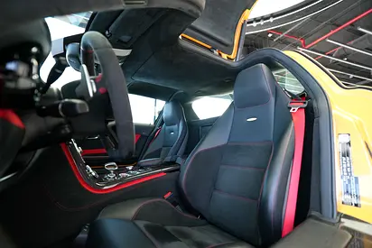 2014 Mercedes-BENZ SLS AMG — миниатюра 15
