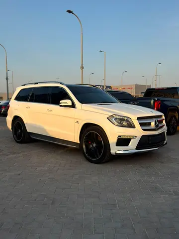 2015 Mercedes-BENZ GL 照片 2