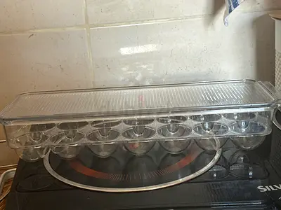 Clear Plastic Egg Storage Container - Holds 14 Eggs