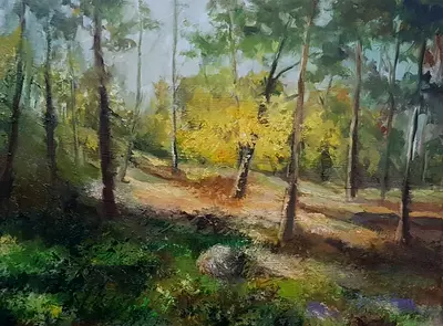 Original Oil Painting of Woodland Landscape