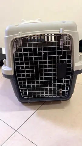 Cat Litter Box. Cat Carrier