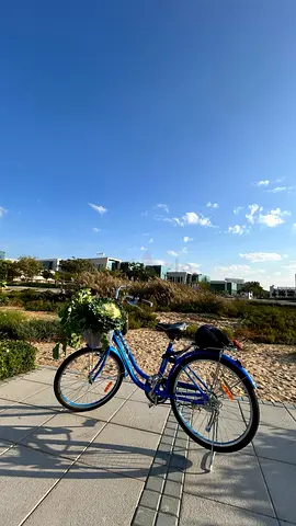 Blue Cruiser Bicycle with Front Basket and Rear Rack
