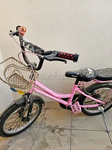 Beauty 16-Inch Kids Bicycle – Pink with Basket Rear Seat