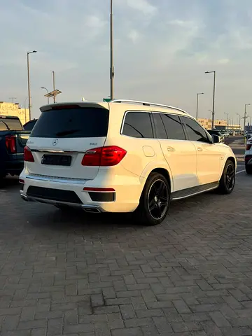 2015 Mercedes-BENZ GL 照片 12