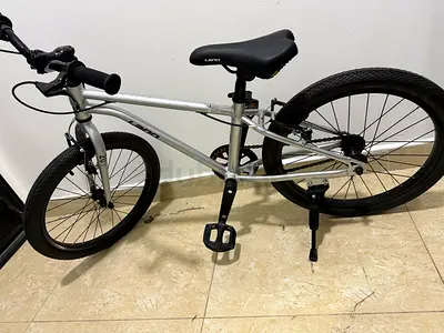 LanQ Silver 20-inch Kids/Teen Bike - almost nee Condition, Single Speed