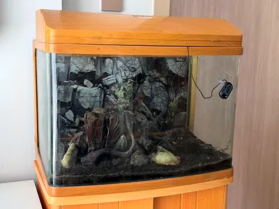 Fish Tank with Wooden Finish Cabinet and Accessories