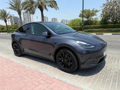 2021 Tesla MODEL Y 照片 2