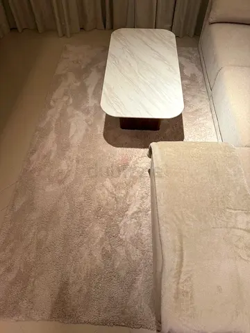 Beige Plush Area Rug - Good Condition, 2x3m (approx)