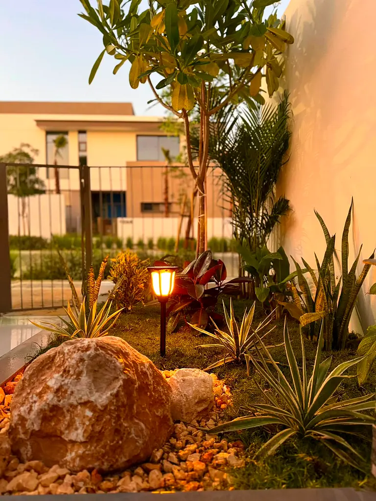 DPV_View_Image_1