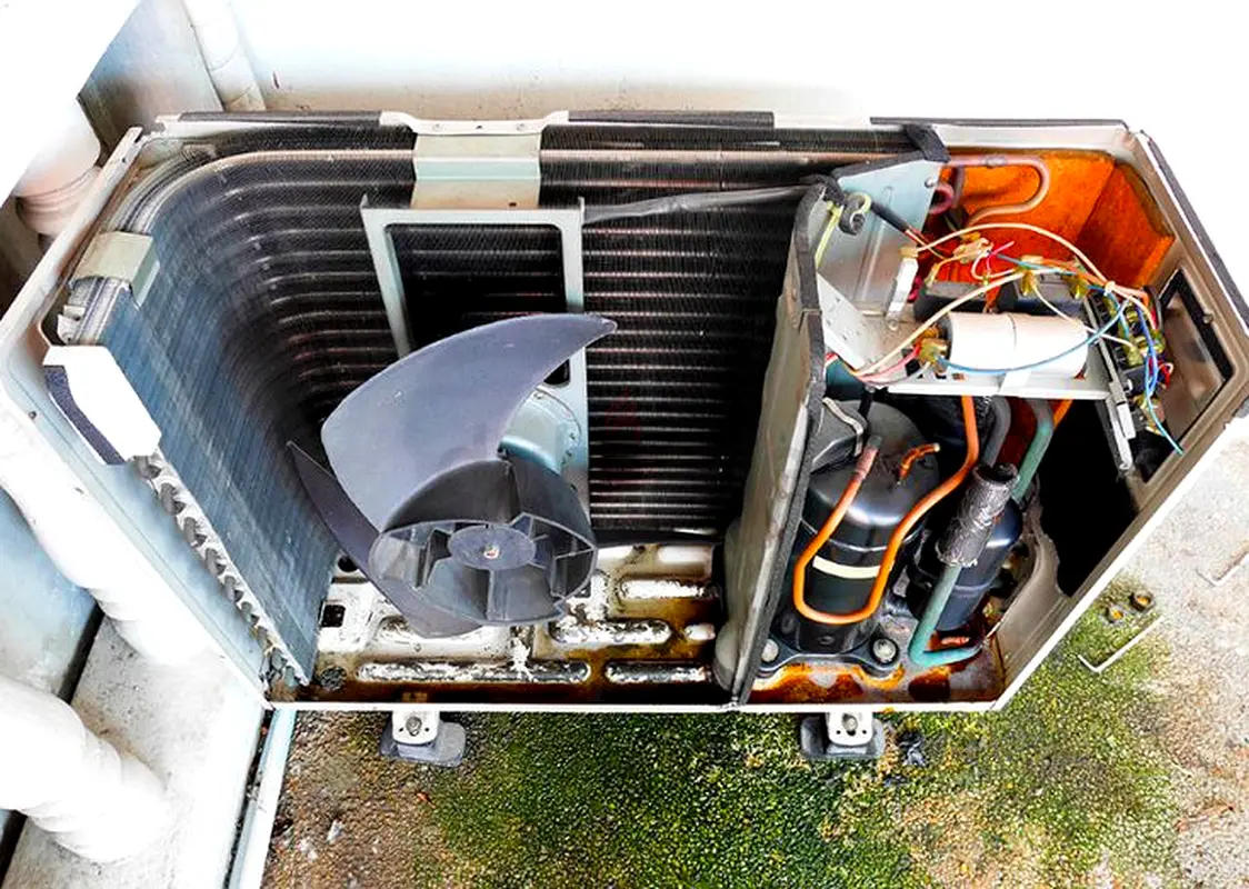 DPV_View_Image_2