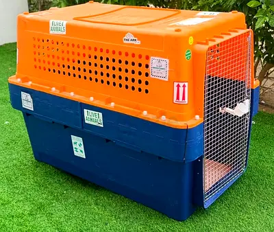 Dogs carriers for air travel Giant size