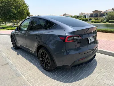 2021 Tesla MODEL Y 照片 6