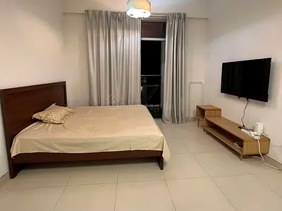 Studio | Furnished | vacant now