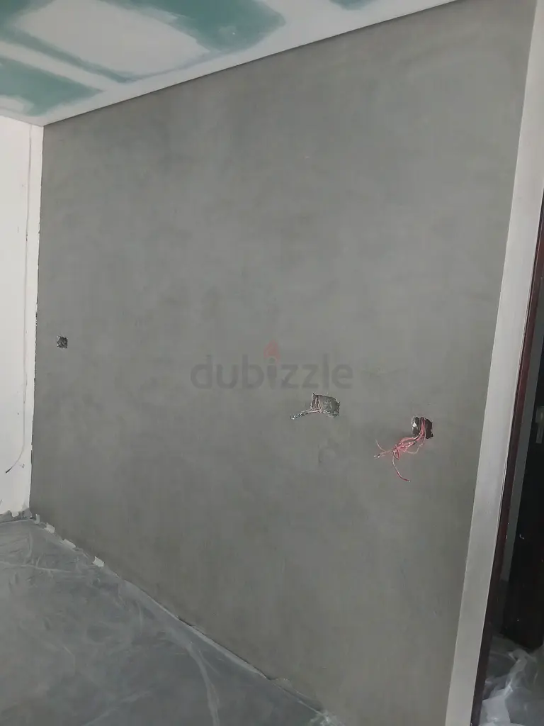 DPV_View_Image_4