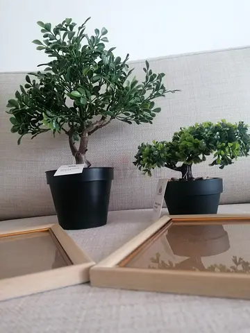 Decor