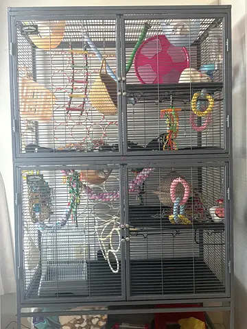 Critter nation cages