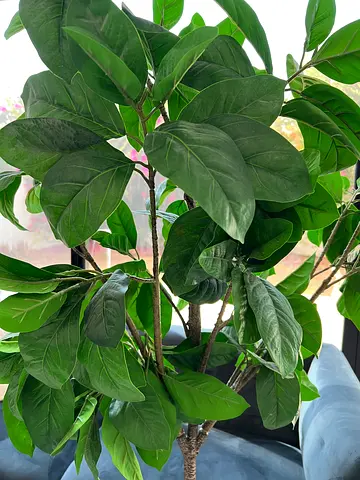 Artificial Plant, Tree, Plastic Plant from IKEA, Height 190cm