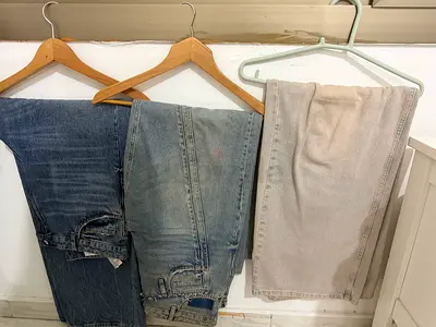 Ladies pants
