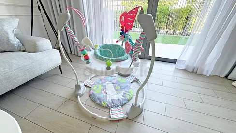 Baby Bouncer