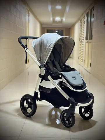 Mamaspapas Ocarro